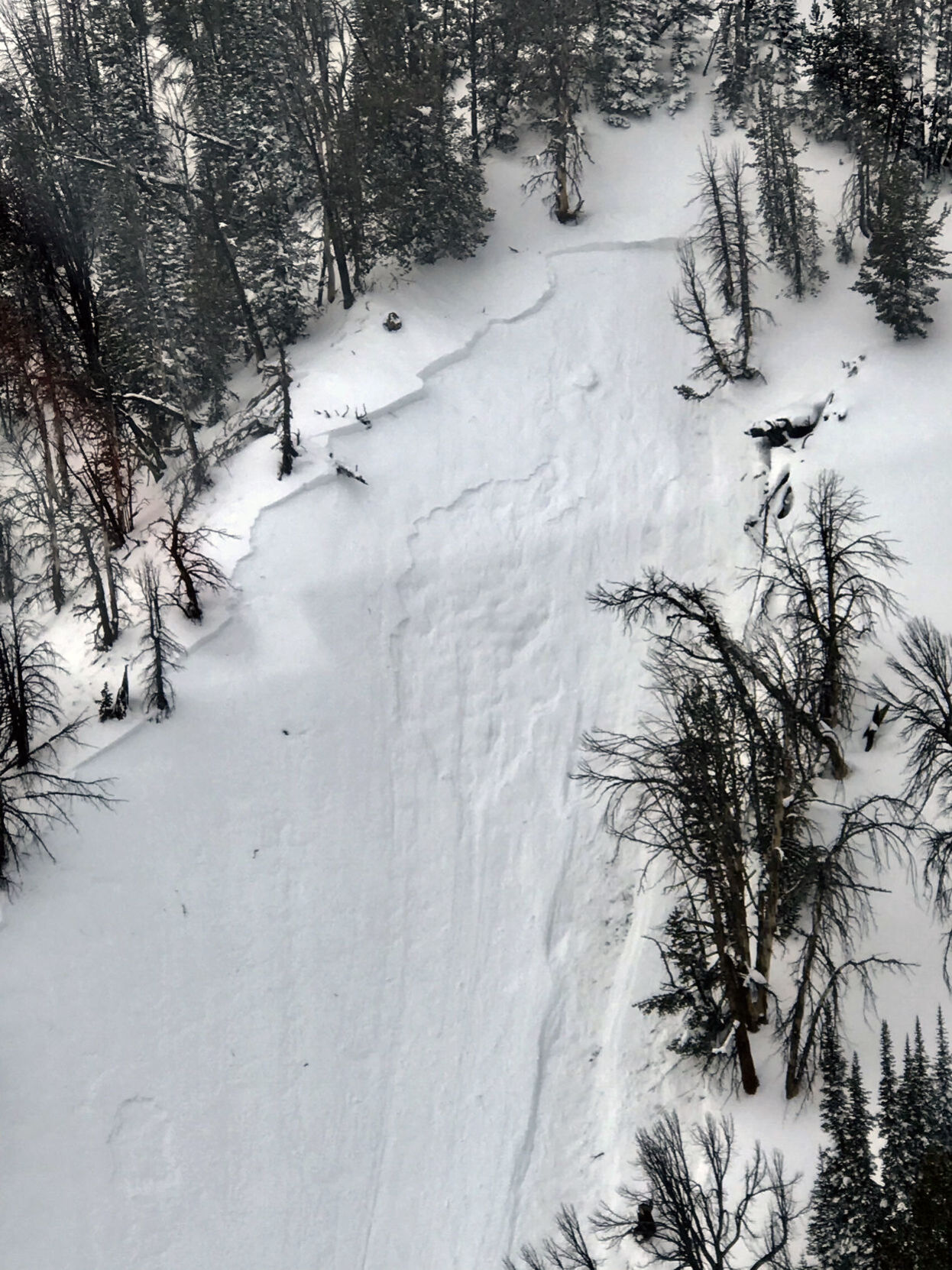 Mount Leidy avalanche
